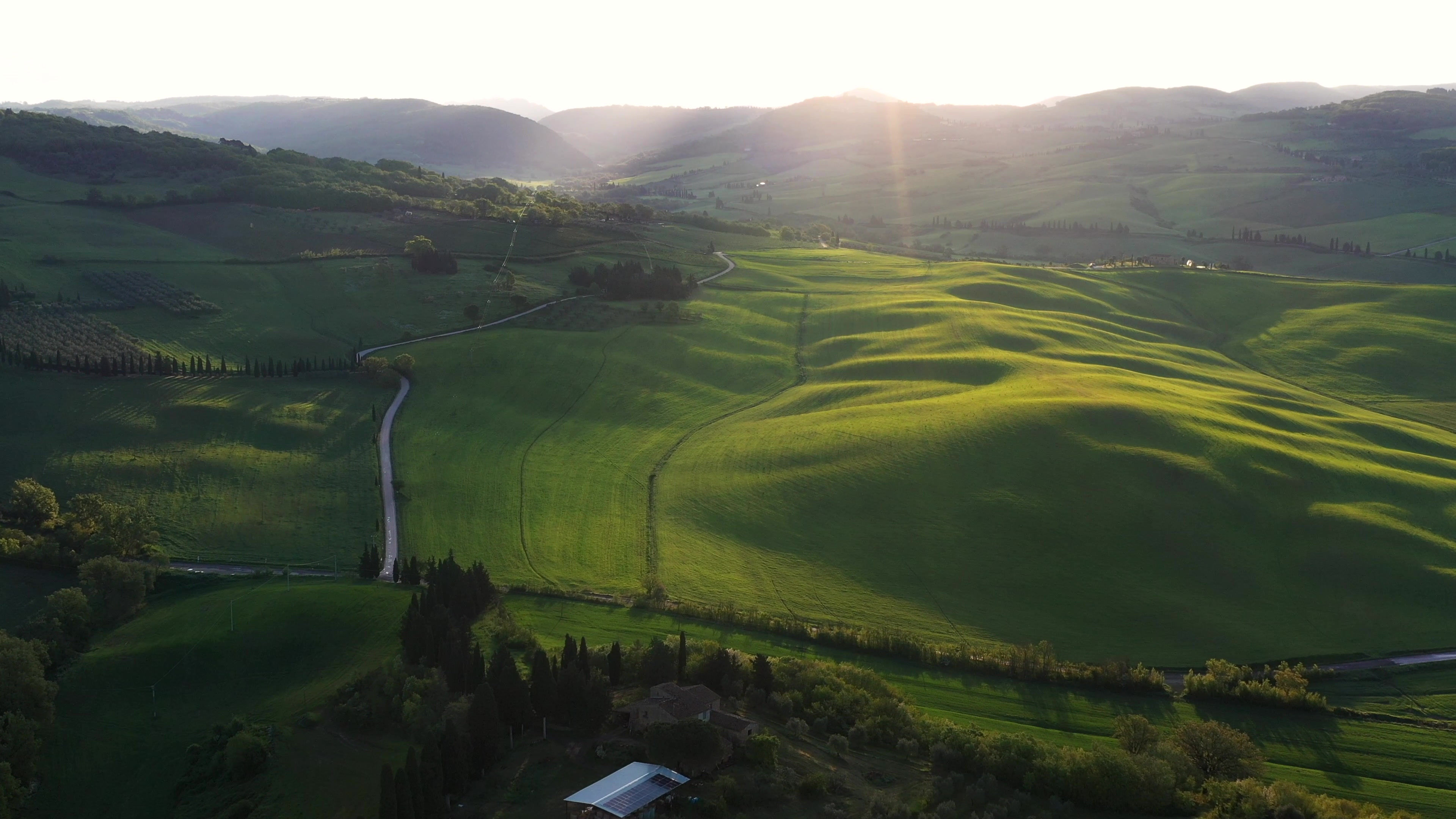 Tuscan Mornings
